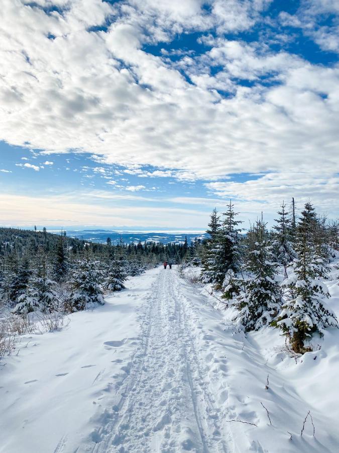 Vila Chalex Aigen im Mühlkreis Exteriér fotografie