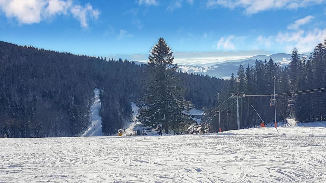 Vila Chalex Aigen im Mühlkreis Exteriér fotografie